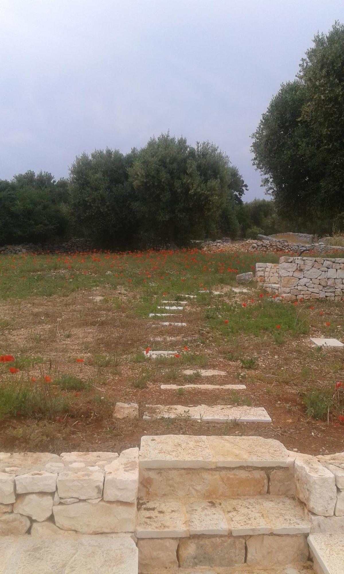 Willa Trullo Alto Salento Cisternino Zewnętrze zdjęcie