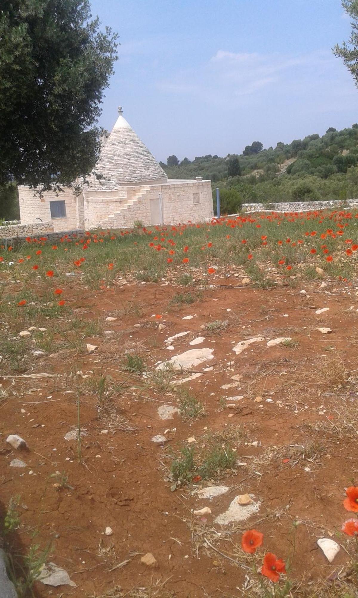 Willa Trullo Alto Salento Cisternino Zewnętrze zdjęcie