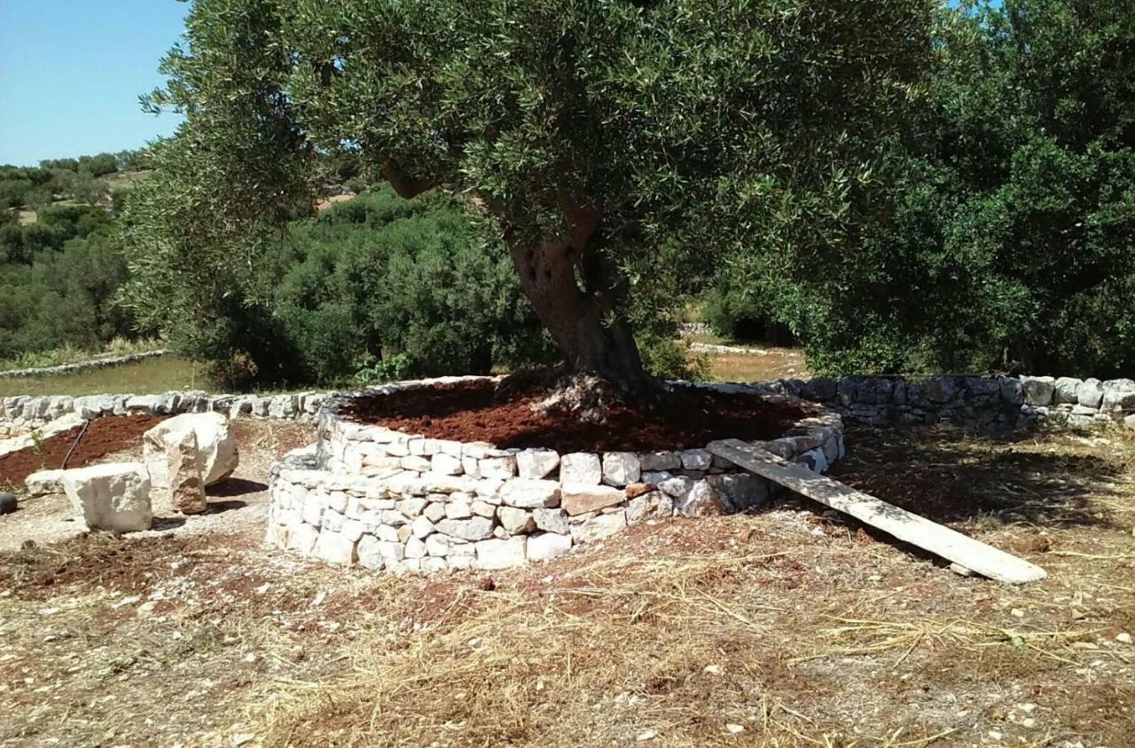 Willa Trullo Alto Salento Cisternino Zewnętrze zdjęcie